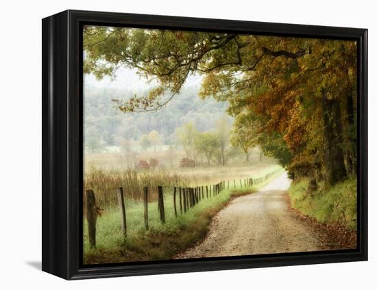 Autumn on a Country Road-Danny Head-Framed Premier Image Canvas