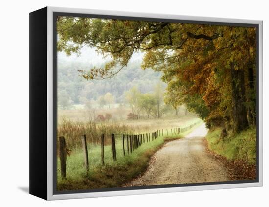 Autumn on a Country Road-Danny Head-Framed Premier Image Canvas