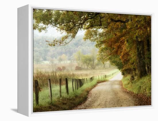 Autumn on a Country Road-Danny Head-Framed Premier Image Canvas