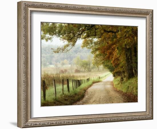 Autumn on a Country Road-Danny Head-Framed Photographic Print