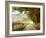 Autumn on a Country Road-Danny Head-Framed Photographic Print