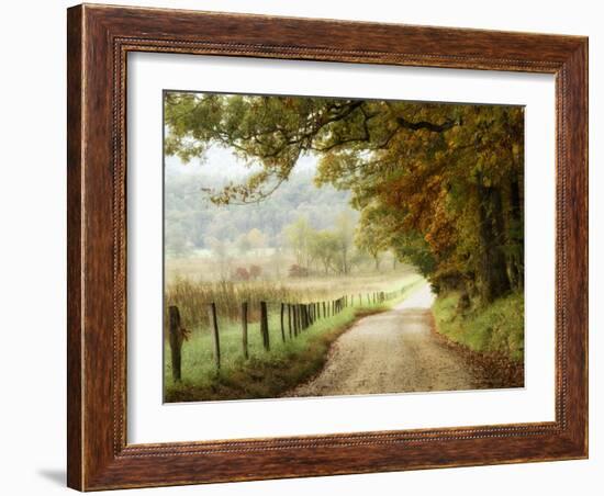 Autumn on a Country Road-Danny Head-Framed Photographic Print