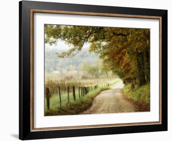 Autumn on a Country Road-Danny Head-Framed Photographic Print
