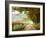 Autumn on a Country Road-Danny Head-Framed Photographic Print