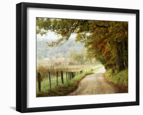 Autumn on a Country Road-Danny Head-Framed Photographic Print