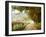 Autumn on a Country Road-Danny Head-Framed Photographic Print