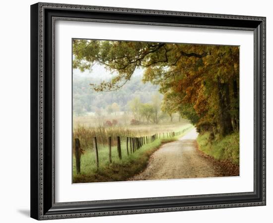 Autumn on a Country Road-Danny Head-Framed Photographic Print