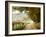 Autumn on a Country Road-Danny Head-Framed Photographic Print