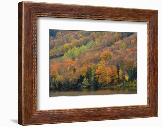 Autumn on Echo Lake, Franconia Notch State Park, New Hampshire, USA-Michel Hersen-Framed Photographic Print