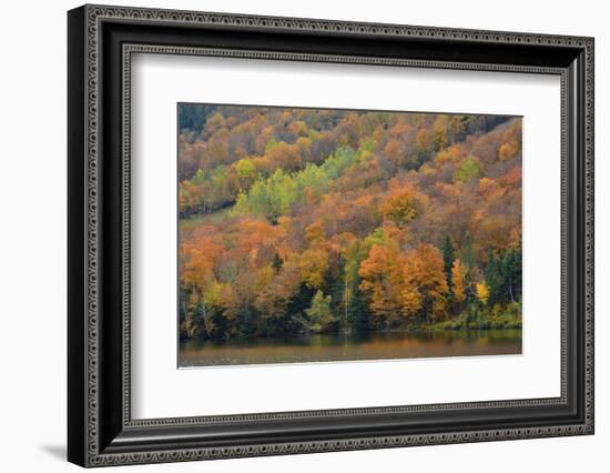 Autumn on Echo Lake, Franconia Notch State Park, New Hampshire, USA-Michel Hersen-Framed Photographic Print