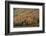 Autumn on Echo Lake, Franconia Notch State Park, New Hampshire, USA-Michel Hersen-Framed Photographic Print