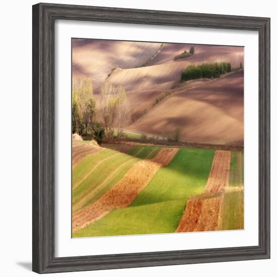 Autumn on Fields-Marcin Sobas-Framed Photographic Print