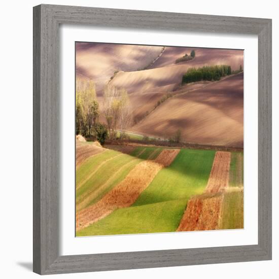 Autumn on Fields-Marcin Sobas-Framed Photographic Print