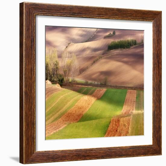 Autumn on Fields-Marcin Sobas-Framed Photographic Print