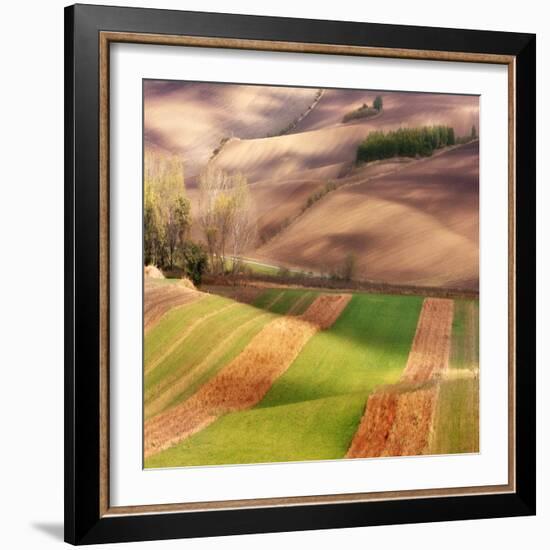 Autumn on Fields-Marcin Sobas-Framed Photographic Print