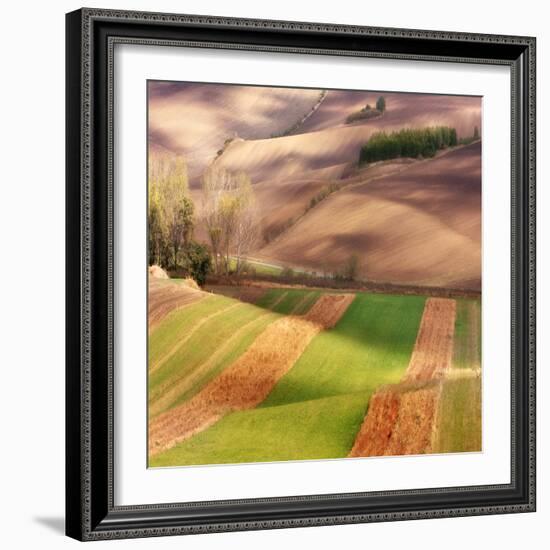 Autumn on Fields-Marcin Sobas-Framed Photographic Print