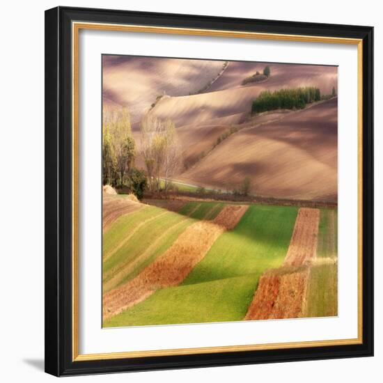 Autumn on Fields-Marcin Sobas-Framed Photographic Print