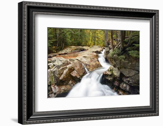 Autumn on Pemigewasset River, Franconia Notch SP, New Hampshire, USA-Michel Hersen-Framed Photographic Print