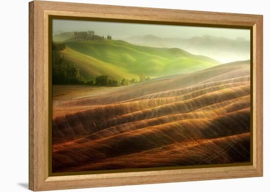 Autumn on the Fields-Marcin Sobas-Framed Premier Image Canvas