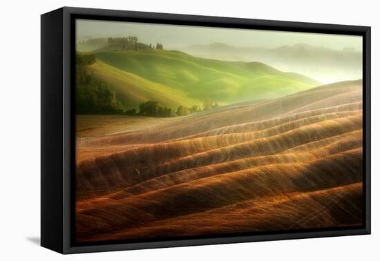 Autumn on the Fields-Marcin Sobas-Framed Premier Image Canvas