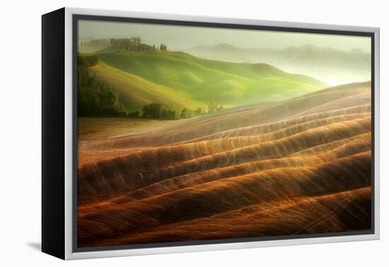 Autumn on the Fields-Marcin Sobas-Framed Premier Image Canvas