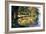 Autumn on the James II-Alan Hausenflock-Framed Photographic Print