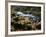 Autumn on the Salmon River, Welches, Oregon, USA-Michel Hersen-Framed Photographic Print