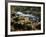 Autumn on the Salmon River, Welches, Oregon, USA-Michel Hersen-Framed Photographic Print