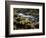 Autumn on the Salmon River, Welches, Oregon, USA-Michel Hersen-Framed Photographic Print