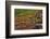 Autumn on the Taiga, Denali National Park, Alaska, USA-Michel Hersen-Framed Photographic Print