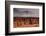 Autumn on the Taiga, Denali National Park, Alaska, USA-Michel Hersen-Framed Photographic Print