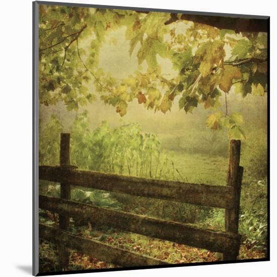 Autumn Overture-Dawne Polis-Mounted Art Print