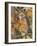 Autumn Owl-William Vanderdasson-Framed Giclee Print