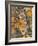 Autumn Owl-William Vanderdasson-Framed Giclee Print