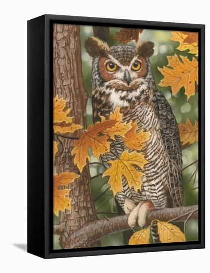Autumn Owl-William Vanderdasson-Framed Premier Image Canvas