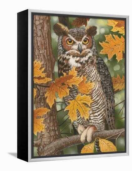 Autumn Owl-William Vanderdasson-Framed Premier Image Canvas