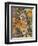 Autumn Owl-William Vanderdasson-Framed Giclee Print