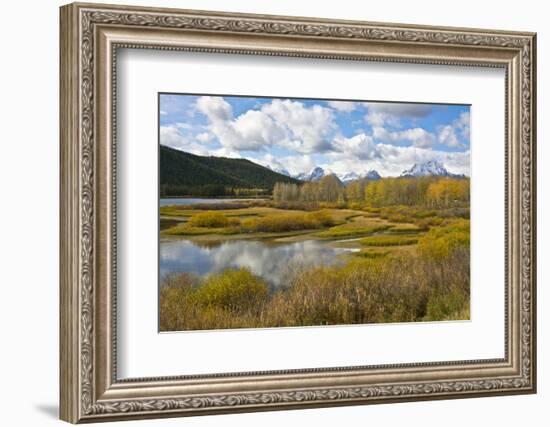 Autumn, Oxbow, Grand Teton National Park, Wyoming, USA-Michel Hersen-Framed Photographic Print