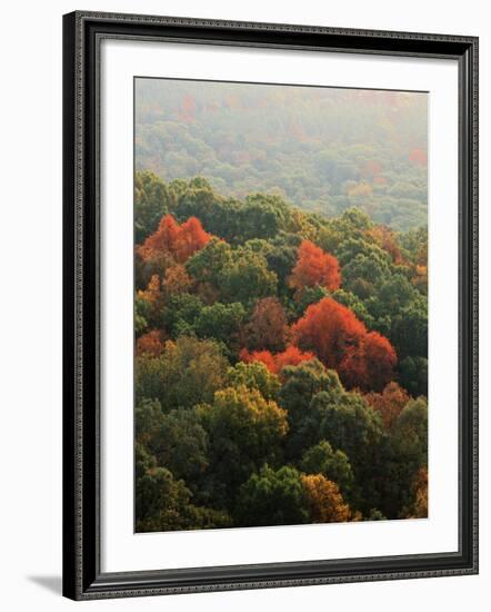 Autumn, Ozark-St. Francis National Forest, Arkansas, USA-Charles Gurche-Framed Photographic Print