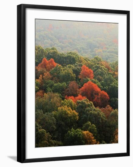 Autumn, Ozark-St. Francis National Forest, Arkansas, USA-Charles Gurche-Framed Photographic Print