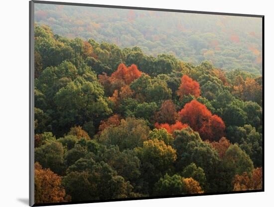 Autumn, Ozark-St. Francis National Forest, Arkansas, USA-Charles Gurche-Mounted Photographic Print