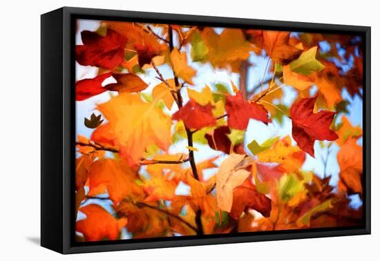 Autumn Paintography-Philippe Sainte-Laudy-Framed Premier Image Canvas