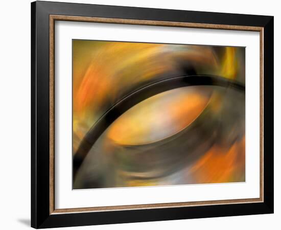 Autumn Palette-Ursula Abresch-Framed Photographic Print