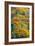 Autumn Palette-Steve Gadomski-Framed Photographic Print