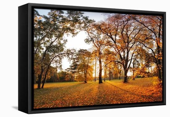 Autumn Panorama in Park-TTstudio-Framed Premier Image Canvas