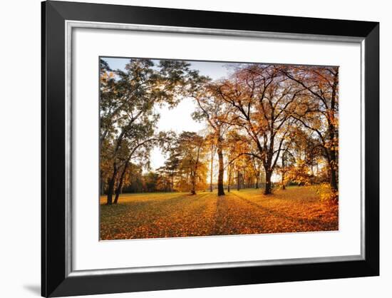 Autumn Panorama in Park-TTstudio-Framed Photographic Print