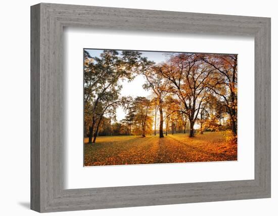 Autumn Panorama in Park-TTstudio-Framed Photographic Print