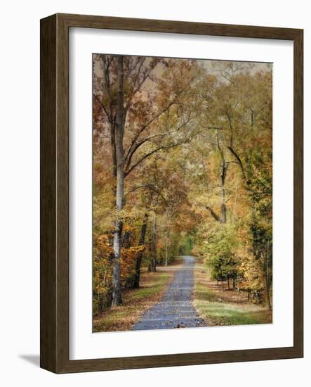 Autumn Passage 2-Jai Johnson-Framed Photographic Print