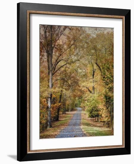 Autumn Passage 2-Jai Johnson-Framed Photographic Print