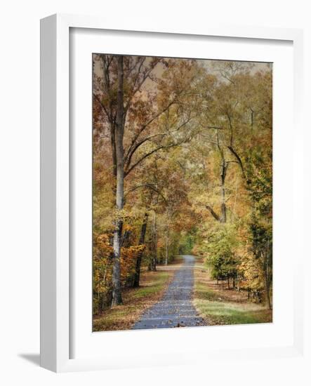 Autumn Passage 2-Jai Johnson-Framed Photographic Print